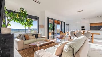 Télévision, cheminée, chaßne hi-fi