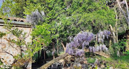 Maison ardéchoise confort 4*,chambres climatisées,grande piscine,vue panoramique
