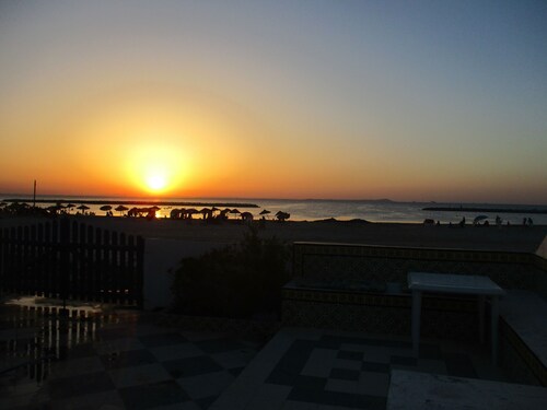 melko kaksipuolinen vedessä Soliman Plagessa