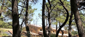 Mooi houten chalet aan zee (surf & zon)