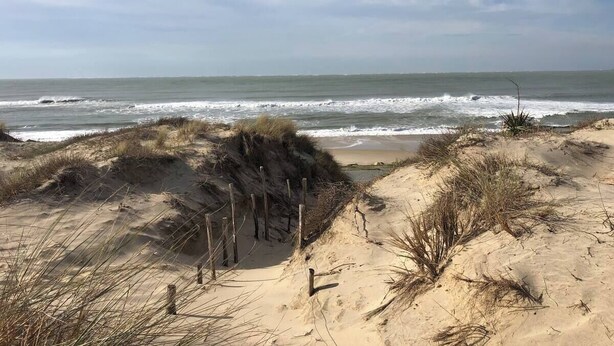 Ein Sandstrand mit Dünen und einem Holzzaun.