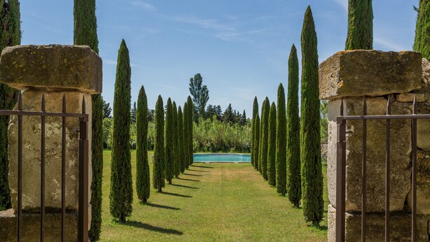 A pathway flanked by tall cypress trees leading to a pool.
