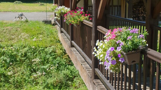 A wooden bridge with flower planters, a stone wall, and a clear stream.