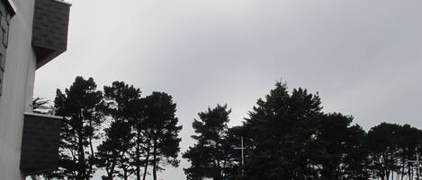 منوع