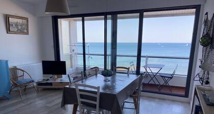 charming apartment facing the ocean for 4 people
