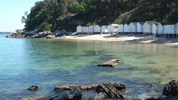 Uma praia com cabanas de praia brancas e vista clara para a água.