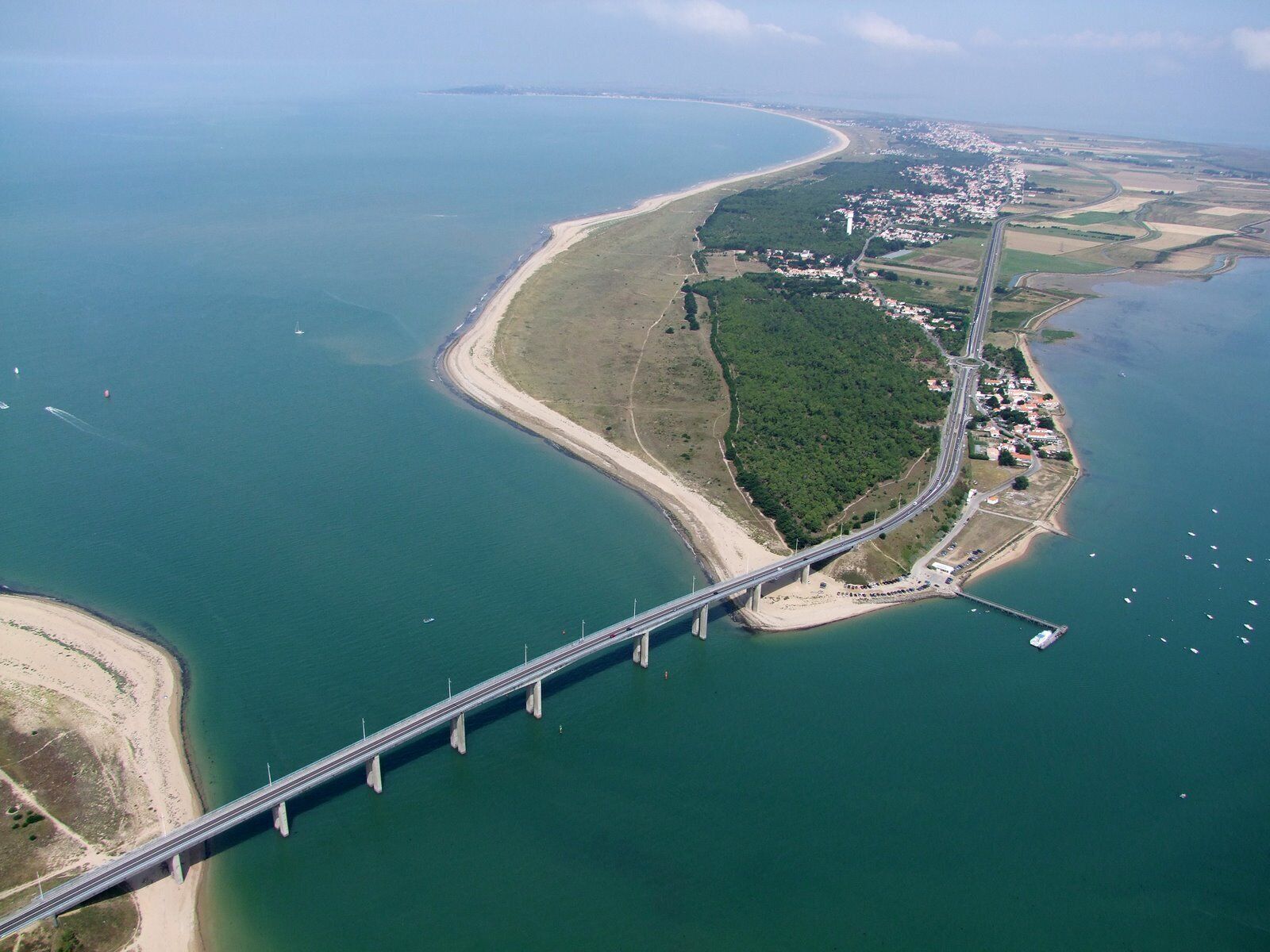 An aerial view of a coastal bridge connecting a mainland to an island with a dense forest and residential areas.