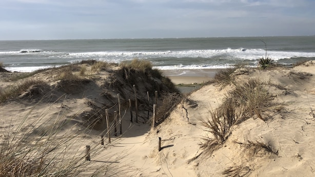 Una playa con dunas de arena y una valla de madera.