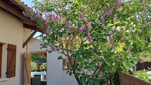 A house with a wooden balcony, a white wall, and a tree with purple flowers. - Family villa ideally located on the Basin with heated pool (La Teste-de-Buch)