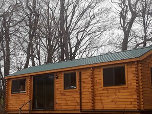 Surrounded by a dense forest, this cabin offers a peaceful retreat with a metal roof and multiple windows.