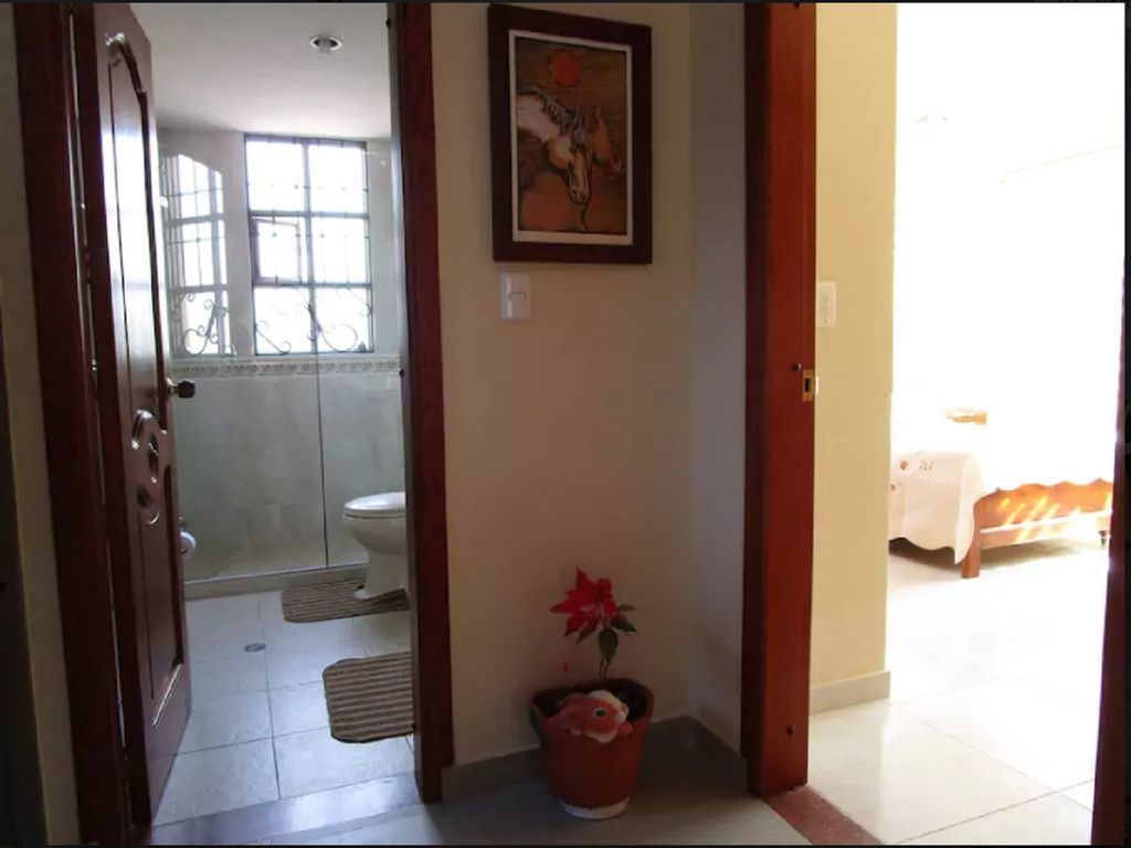 La Flor de la Canela - El campo en la ciudad -  The countryside in the city