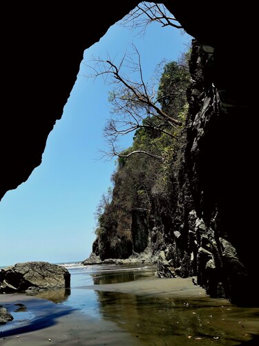 Quiet litthe house in a big Garden near the services
