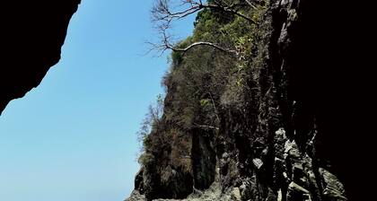 Quiet litthe house in a big Garden near the services