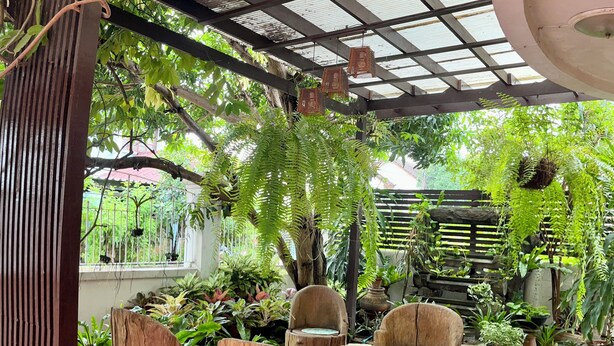 Una terraza de madera con sillas rústicas, rodeada de abundante vegetación y plantas colgantes.