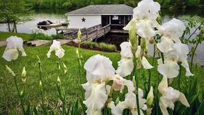 A lakeside cabin with a dock, surrounded by lush greenery and white flowers. - Main house & guest cottage on over 400 feet of waterfront on the public side (Mineral)