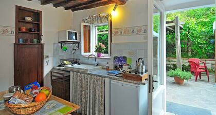 Beautiful Eco-Friendly Farmhouse:Cooking Lessons, Meals, Driver, and More !