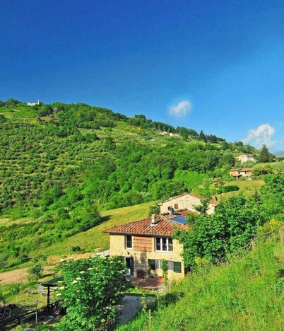 Beautiful Eco-Friendly Farmhouse:Cooking Lessons, Meals, Driver, and More !