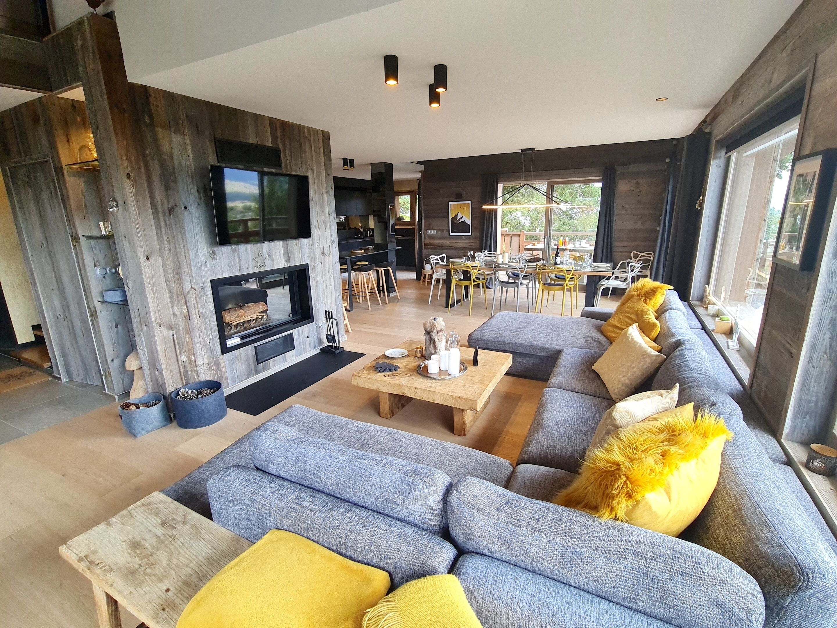 TV, fireplace