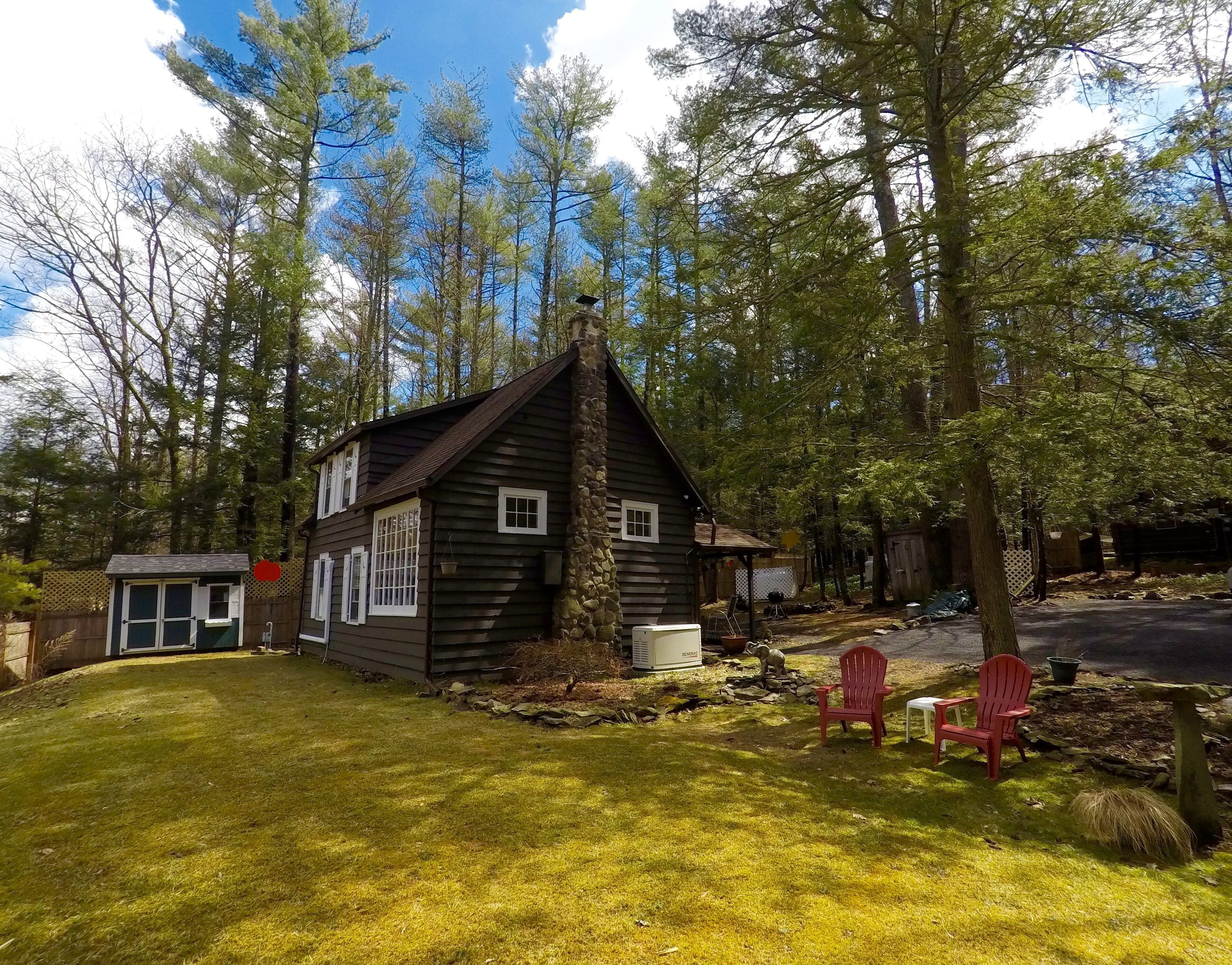 WOODSTOCK CHARMER: HIKING, NATURE, ELEPHANT ART SANCTUARY