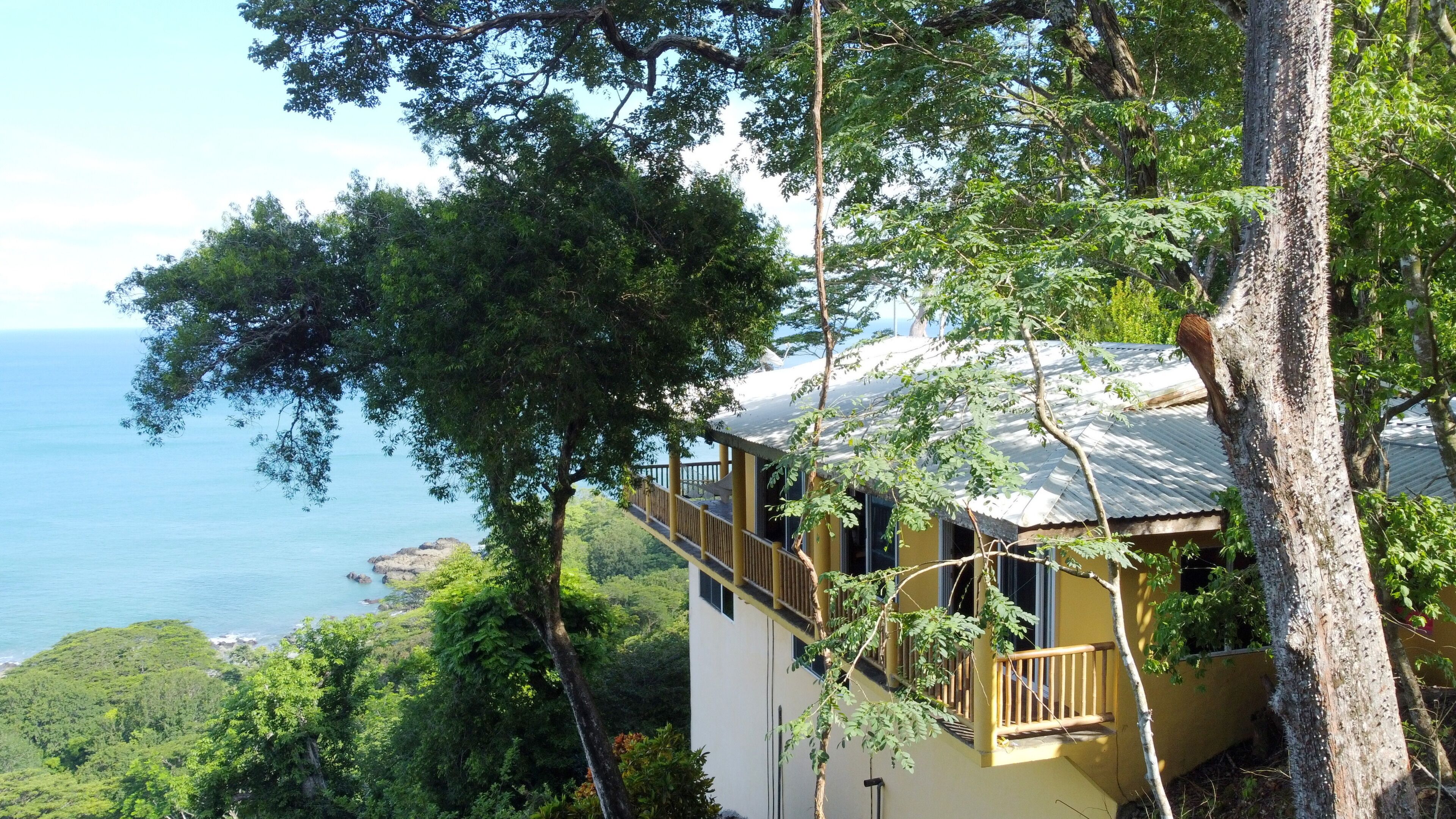 A treehouse with a balcony, surrounded by lush greenery and overlooking a body of water.
