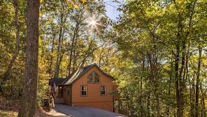 A cabin surrounded by a forest with a clear path leading to the entrance. - Bluebird Cabin (Hocking Hills area) (Sugar Grove)