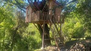 A wooden treehouse with a ladder and a stone wall base, surrounded by dense green foliage. - BEAUTIFUL RECENT PROPERTY WITH ALL COMFORT, 5 MINS FROM VANS (Pigère)