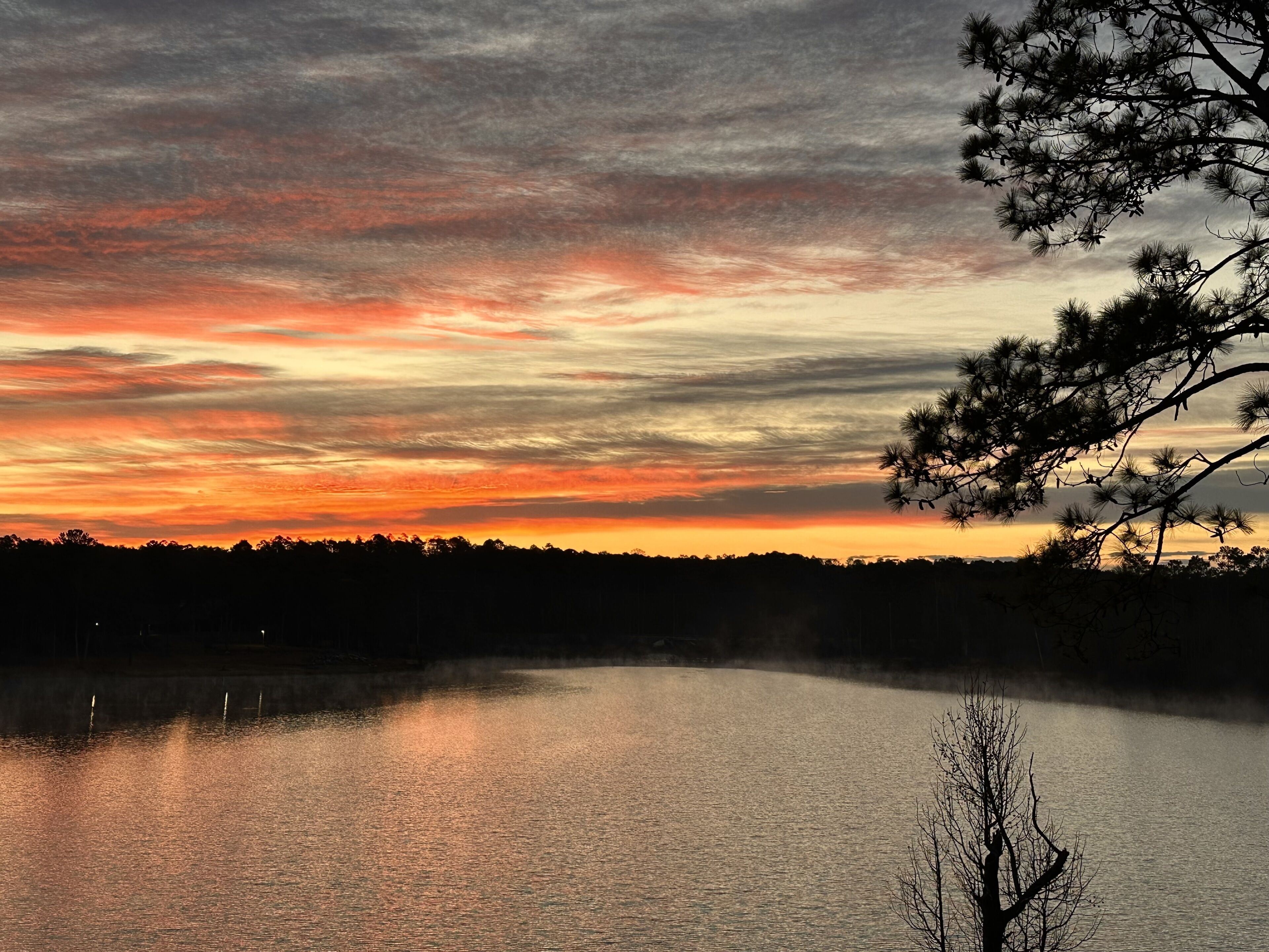 A calm lake at sunset with a tree silhouette in the foreground.