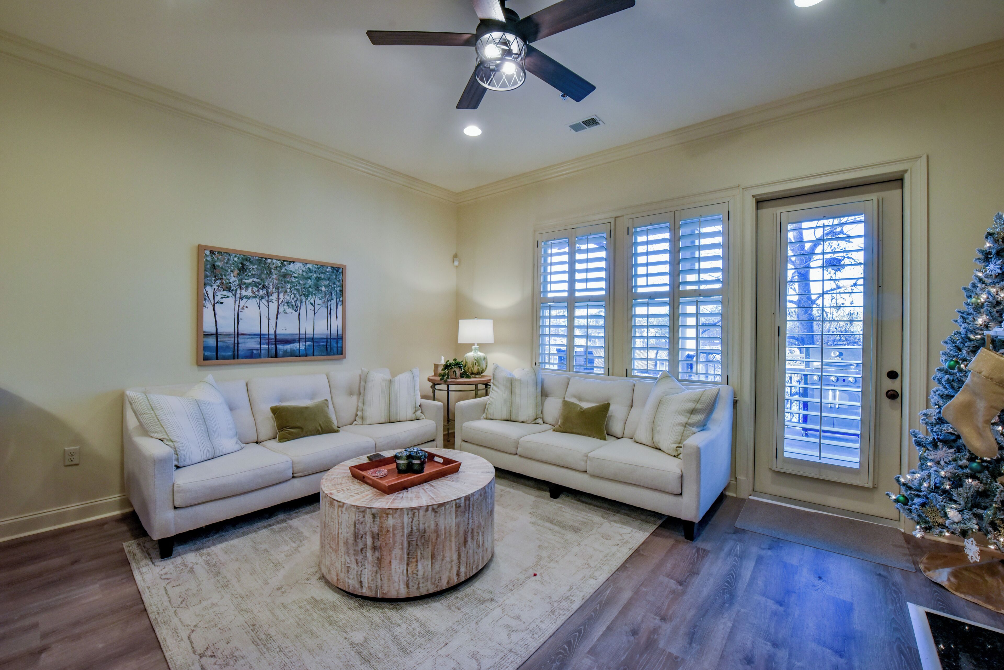 Smart TV, fireplace, books