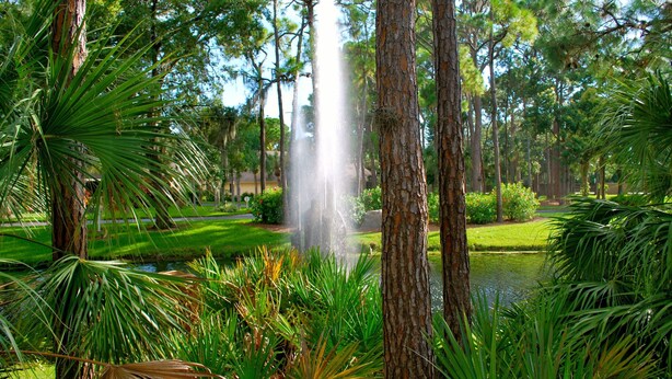 Ein friedlicher Garten mit einem zentralen Wasserspiel, umgeben von hohen Bäumen und üppigem Grün.
