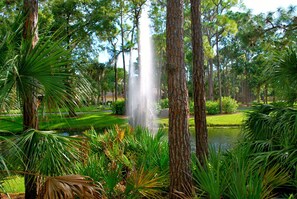Terrain de l’hébergement 