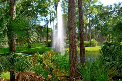 BEAUTIFUL 2/2 VILLAS, KING BED, High speed Wi-Fi, Heated Pool and Jacuzzi!