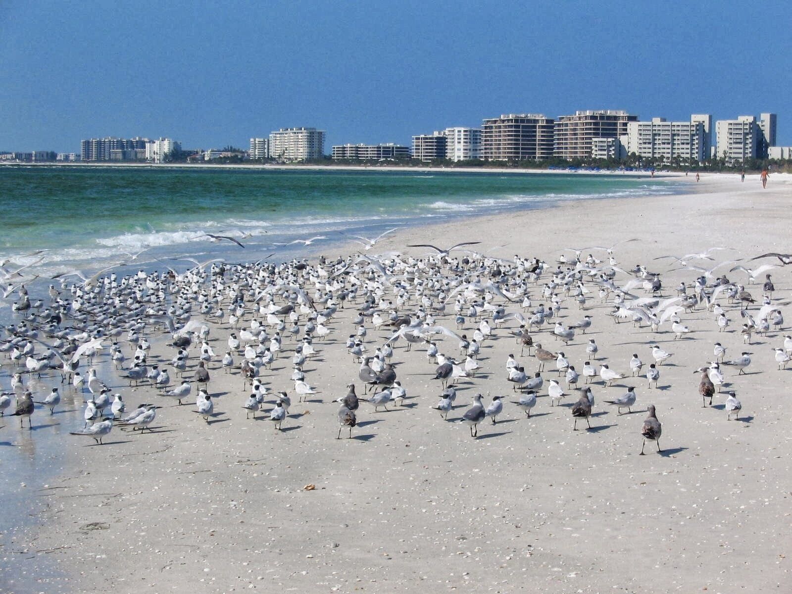 沙滩椅、沙滩毛巾