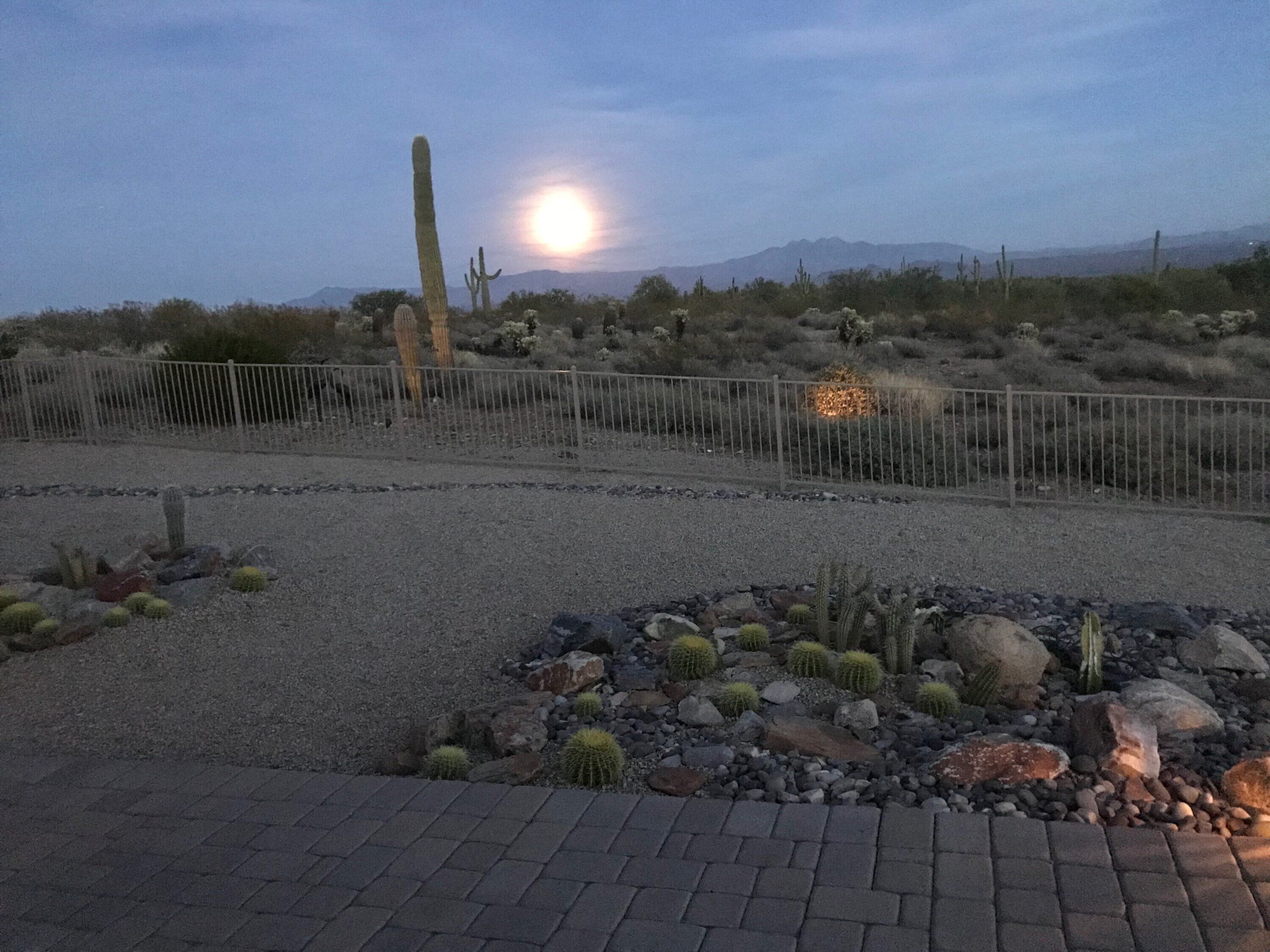 Desert Wonderland! Backs to open desert with mountain views.  Saguaros all about