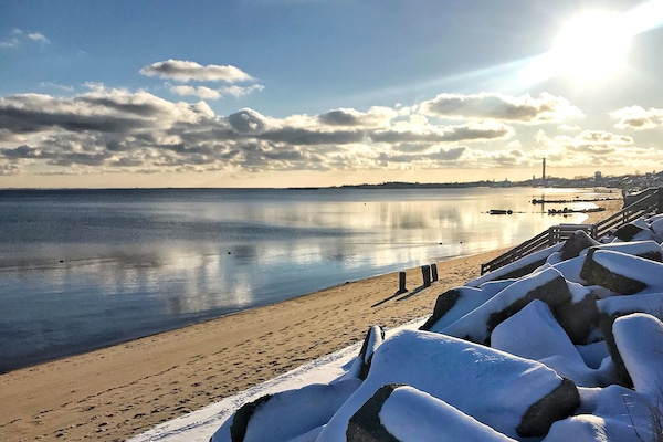 Gandules de platja i tovalloles de platja
