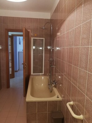 Combined shower/tub, hair dryer, bidet, towels