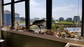 Una ventana con vistas a un río y casas, decorada con conchas marinas y ramas de madera.