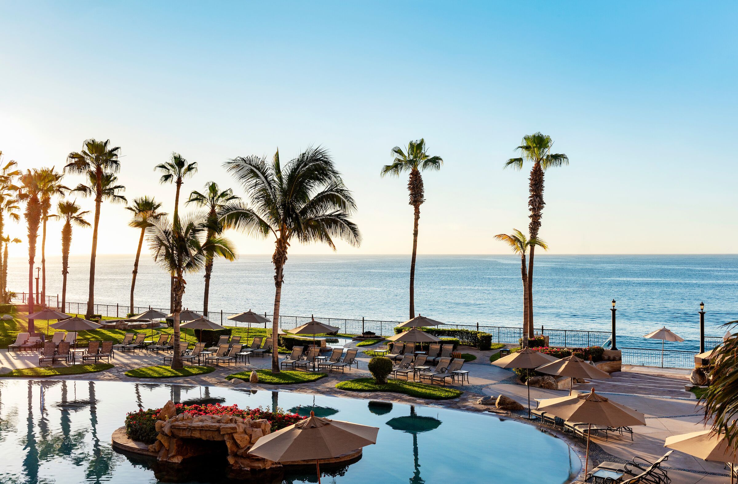 A resort pool area with palm trees, lounge chairs, and umbrellas, overlooking the ocean.