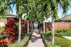 Stroll through a serene neighborhood lined with palm trees and tropical plants, leading to charming homes with sloped roofs and large windows.