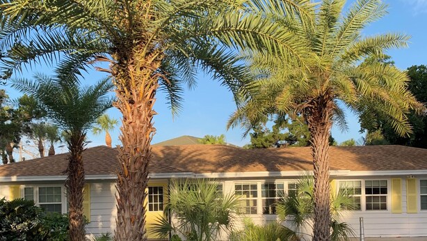 A pathway leading to a house with a brick entrance, surrounded by palm trees and a garden with a central flower bed. - Banyan Tree Cottage  Tropical Siesta Key Retreat - Walk to Sunset at Shell Beach (Sarasota)