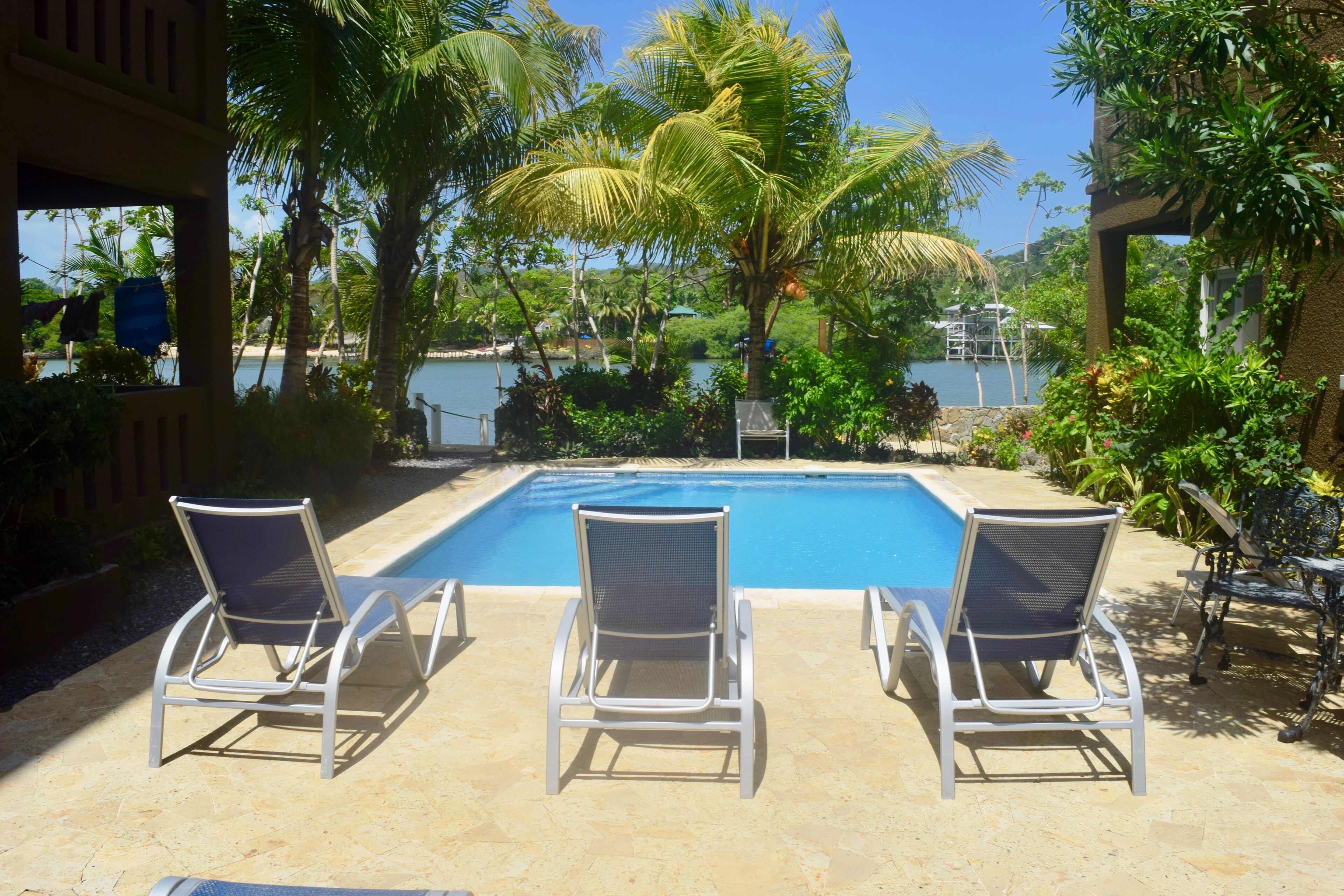 A poolside area with three lounge chairs, a clear blue pool, and lush greenery including palm trees.