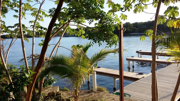 A wooden dock extending into calm water, surrounded by lush greenery and trees. - Luxury 3 Bedroom/2 Bath Waterfront Condo in a quiet part of West End, Roatán (West End)
