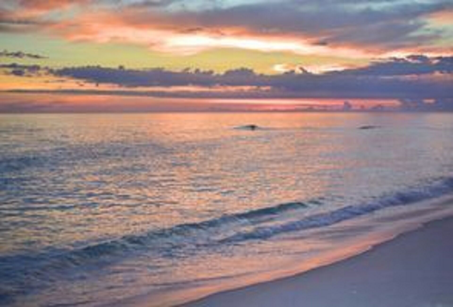 Comfortable apartment between the lagoon and the sea (Figueira- Restinga de Massambaba)