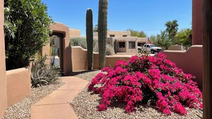 A pathway leading to a building with a desert garden, including cacti and bougainvillea.