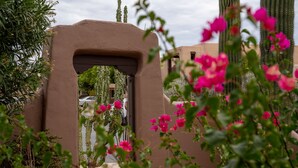 A desert garden with a prominent archway, cacti, and flowering plants.