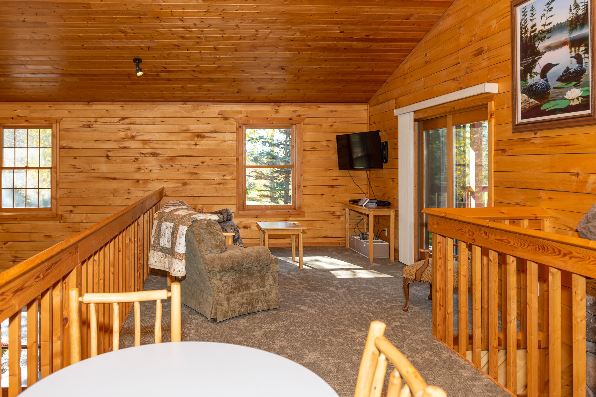 TV connectée, cheminée, lecteur de DVD, livres