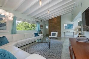 Smart TV, chimenea, libros