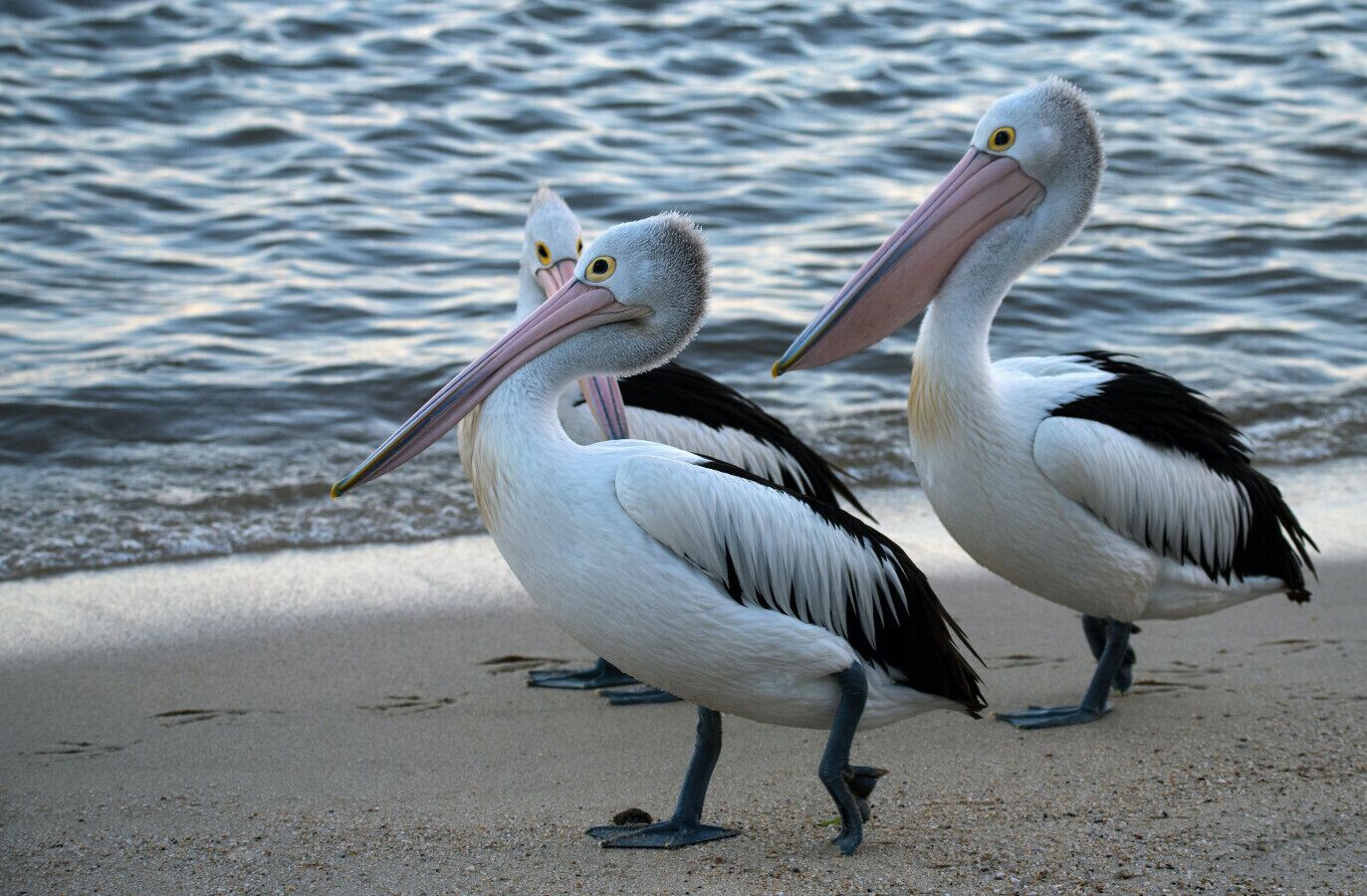 Vlak bij het strand