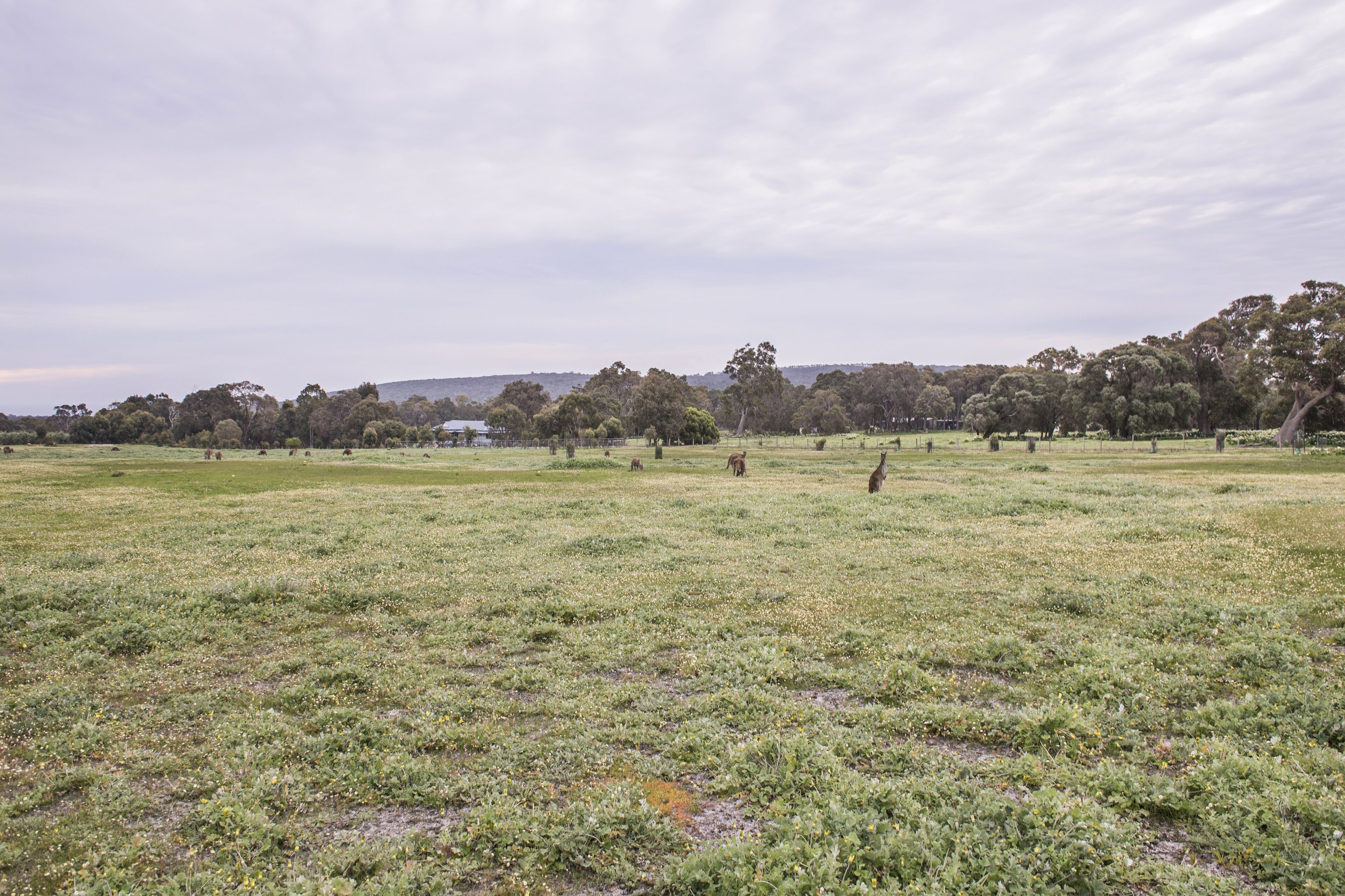 Sonning Views  — image 24