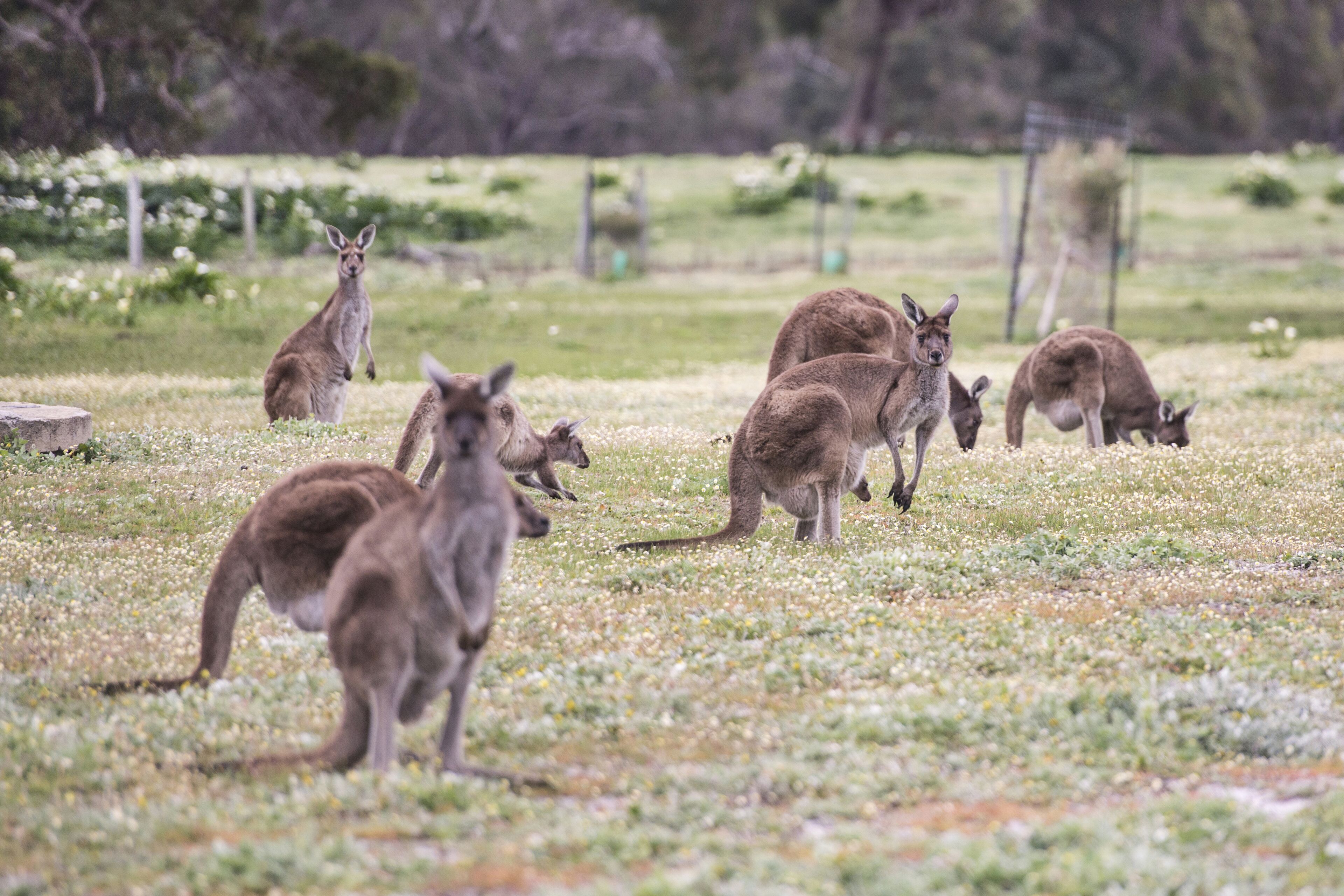 Sonning Views  — image 26