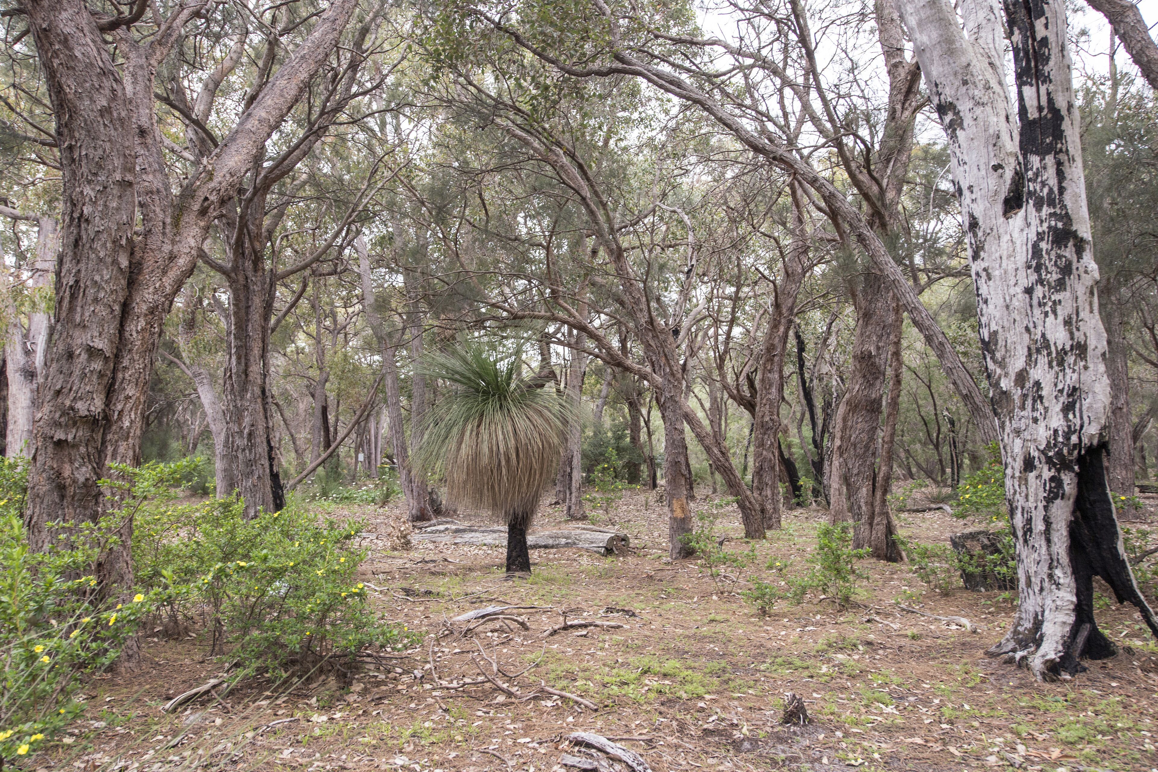 Sonning Views  — image 25